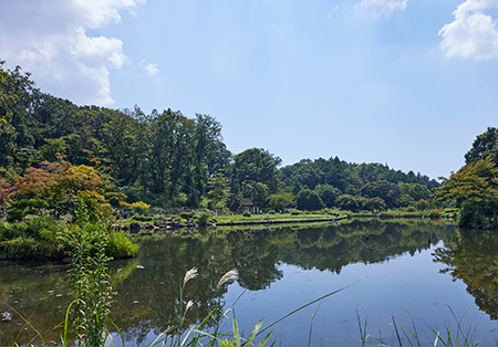 こども自然公園