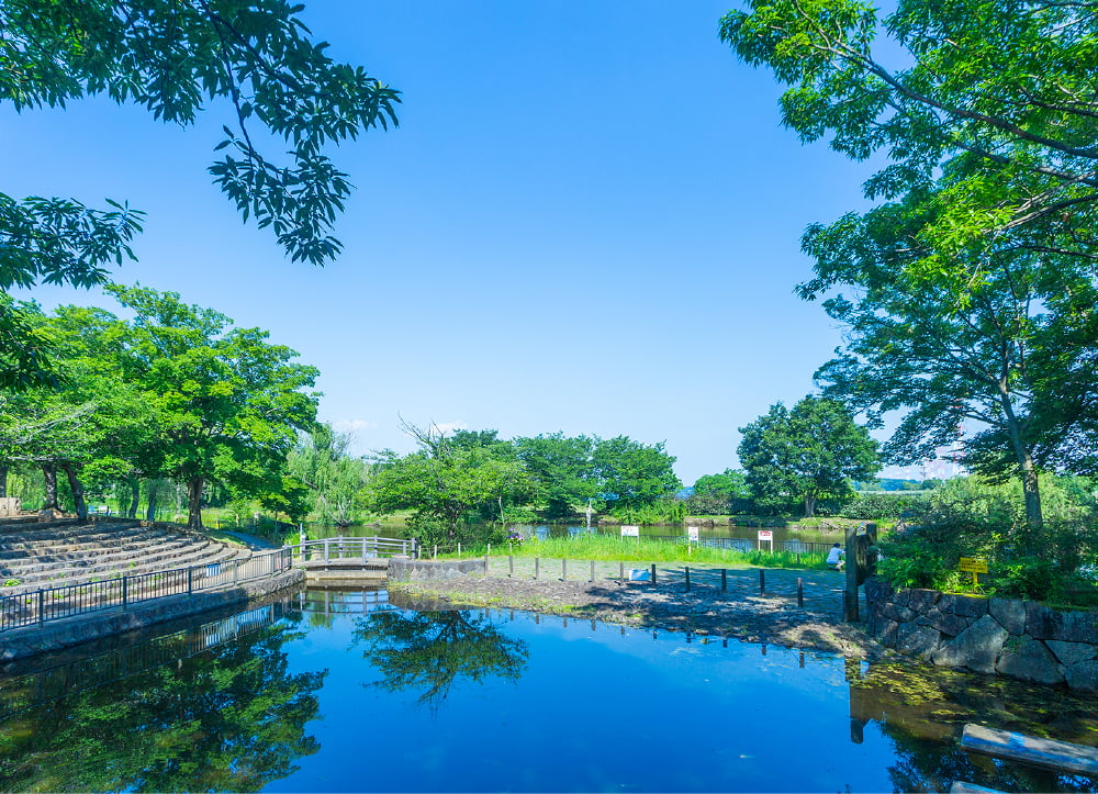 北柏ふるさと公園