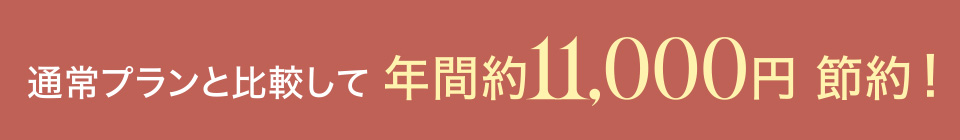 通常プランと比較して年間約11,000円節約！