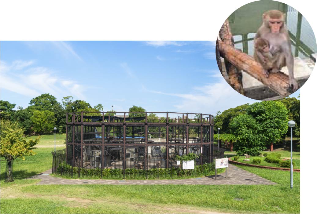 大浜公園内「猿飼育舎」
